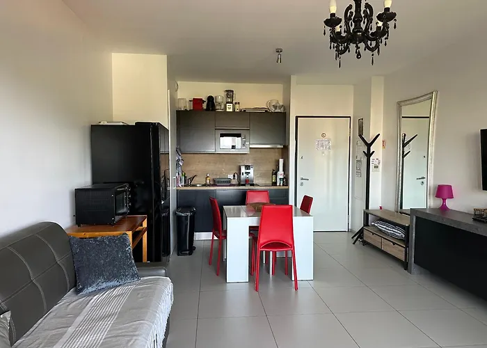 Studio T1 bis vue mer Propriano