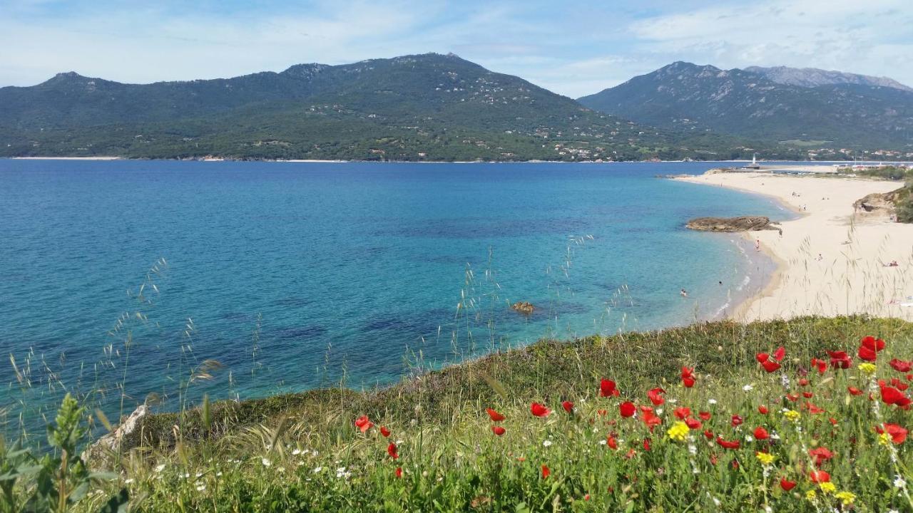 T1 Bis Vue Propriano Propriano (Corsica)